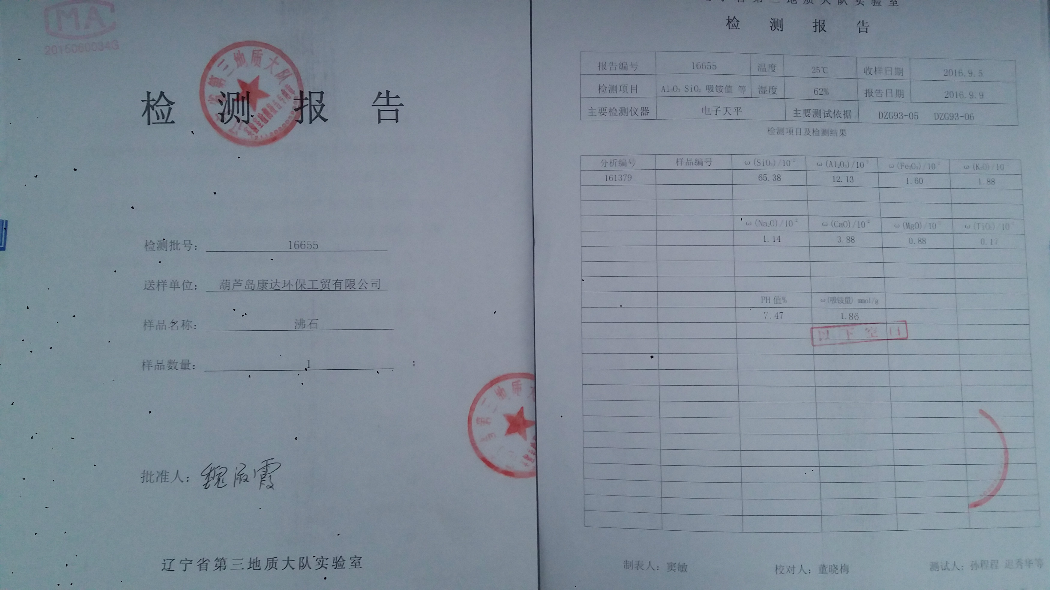 沸石检验报告